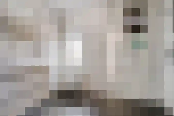 Spade 4 Wieringerwerf thumbnail 12