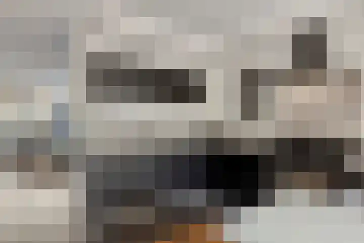 Spade 4 Wieringerwerf thumbnail 13