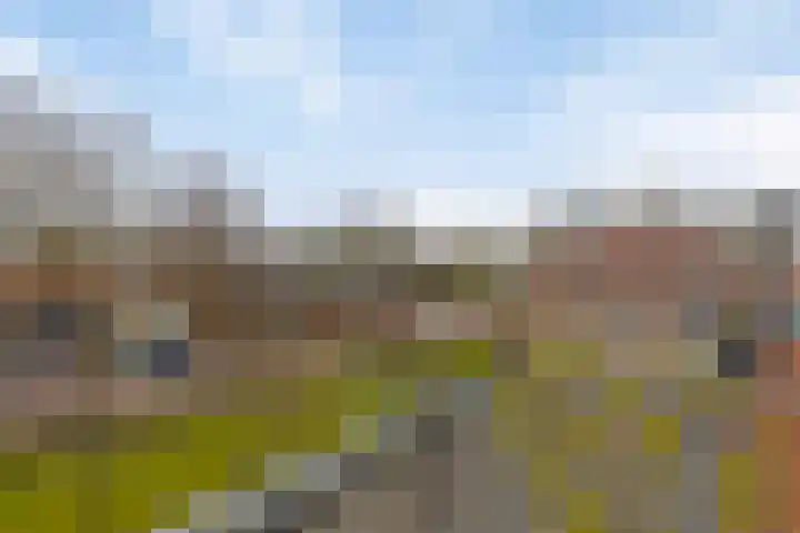 Spade 4 Wieringerwerf thumbnail 36
