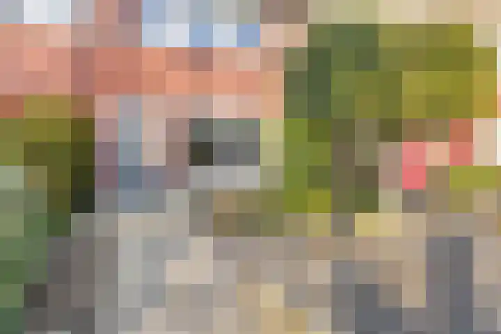 Spade 4 Wieringerwerf thumbnail 7