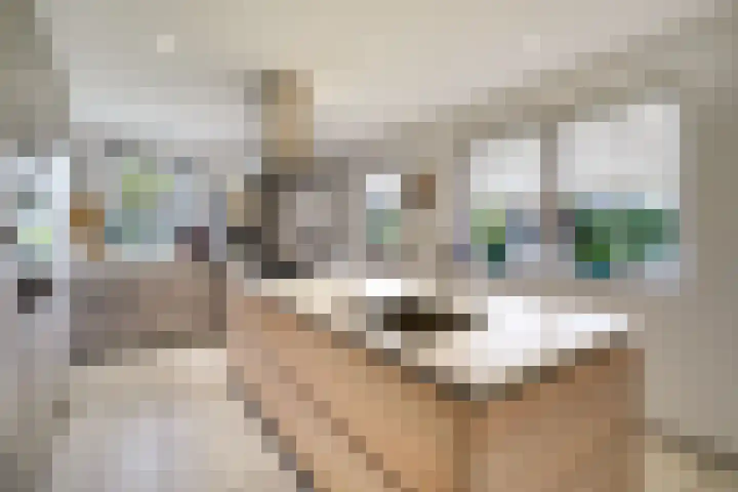 Spade 43 Wieringerwerf thumbnail 22
