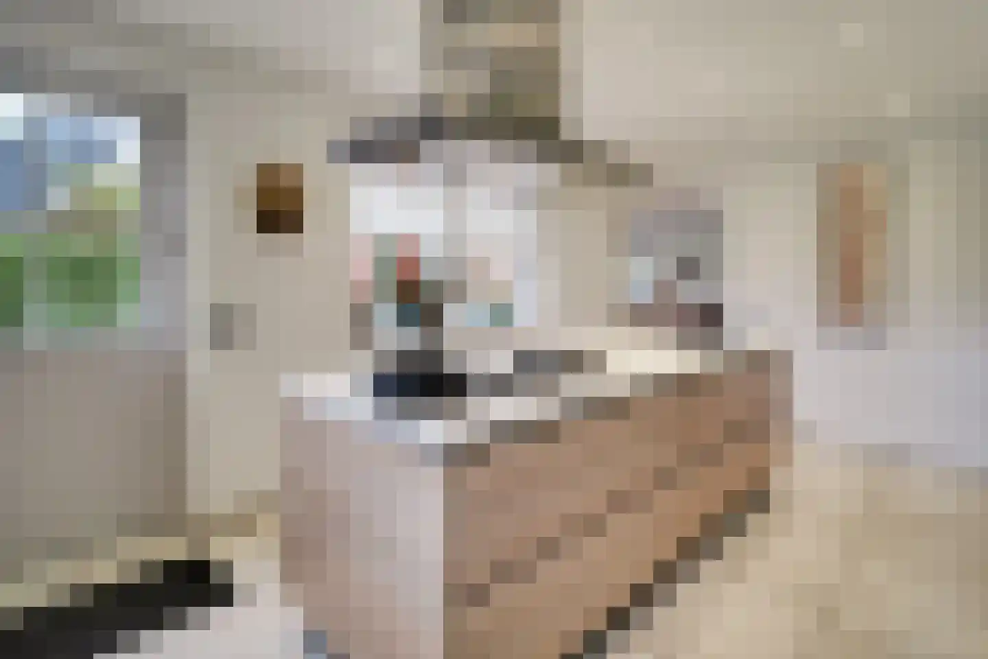 Spade 43 Wieringerwerf thumbnail 23