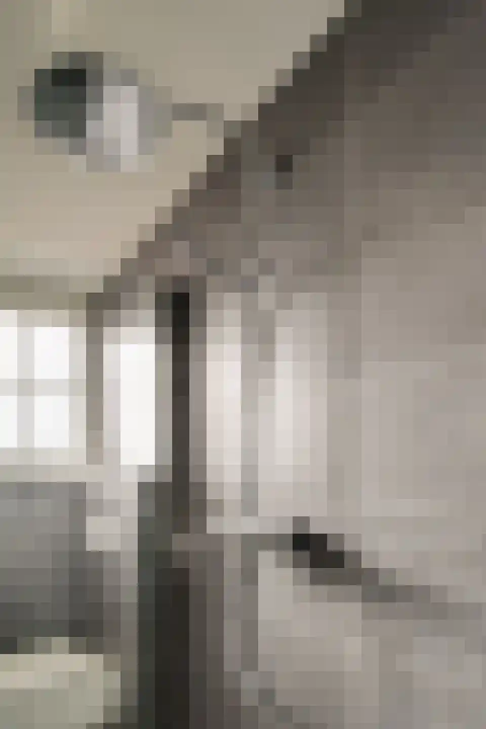 Spade 43 Wieringerwerf thumbnail 40