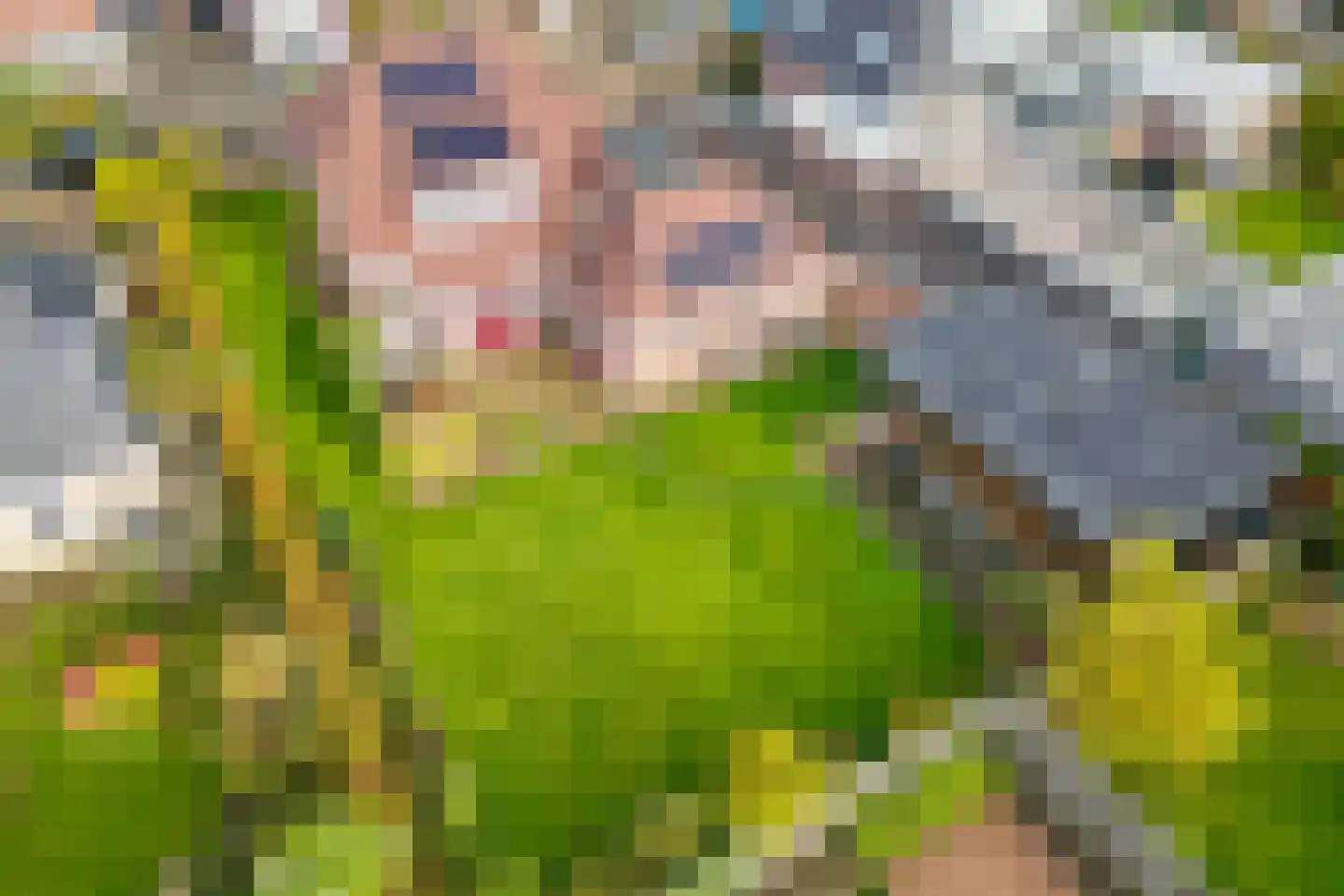 Spade 43 Wieringerwerf thumbnail 51