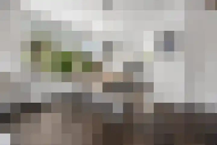 Spade 7 Voorthuizen thumbnail 14
