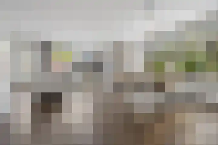 Spade 7 Voorthuizen thumbnail 9