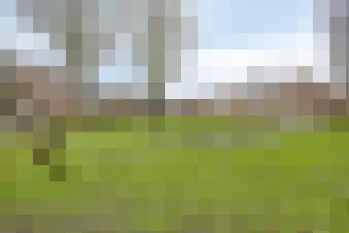 Spadestraat 33 Purmerend thumbnail 34