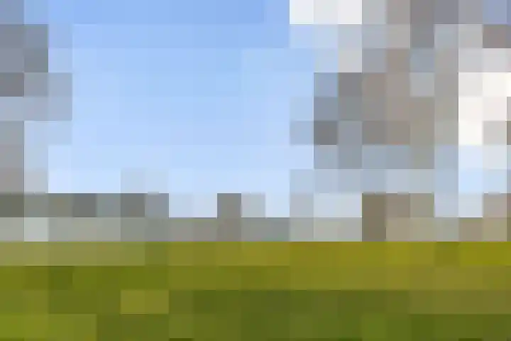 Spadinalaan 401 Amsterdam thumbnail 17