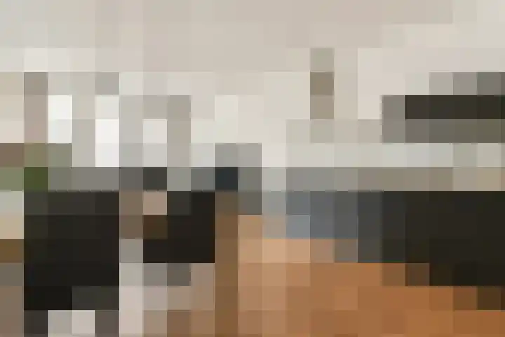 Spadinalaan 401 Amsterdam thumbnail 4