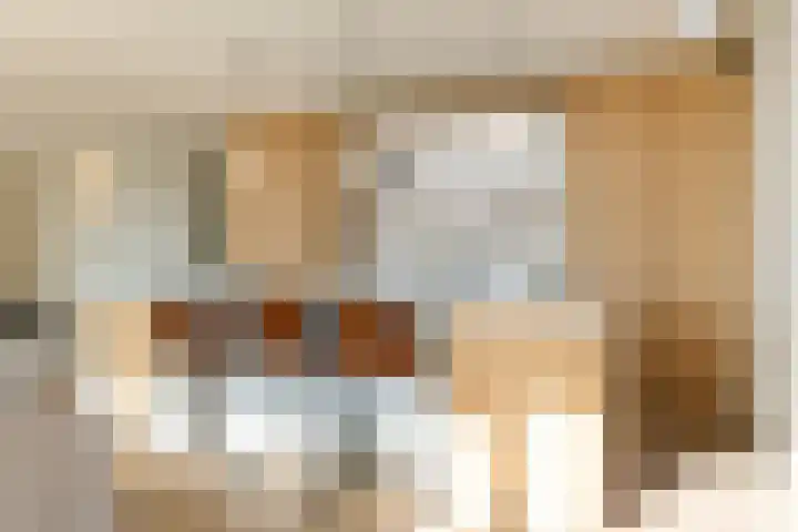 Spadinalaan 699 Amsterdam thumbnail 12