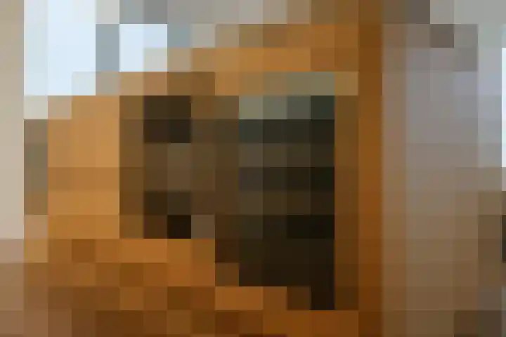 Spadinalaan 699 Amsterdam thumbnail 15