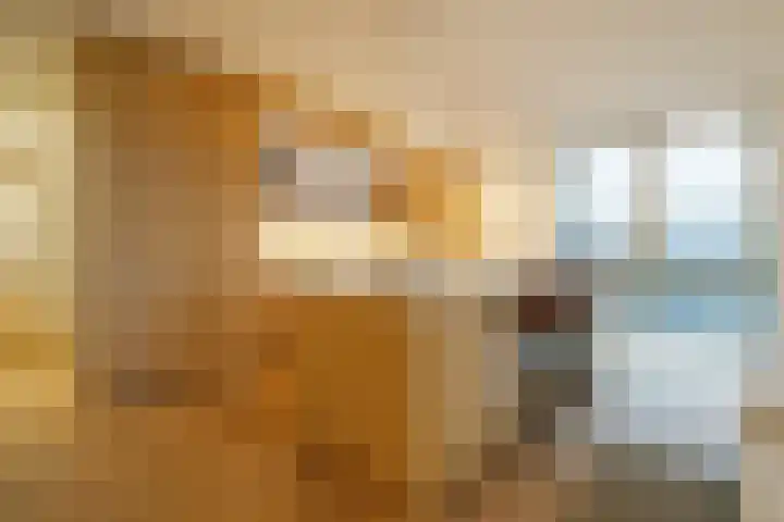 Spadinalaan 699 Amsterdam thumbnail 16