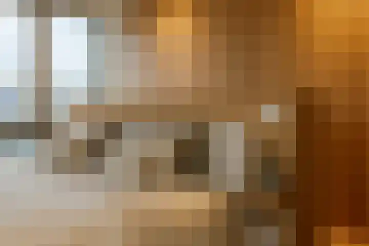 Spadinalaan 699 Amsterdam thumbnail 24