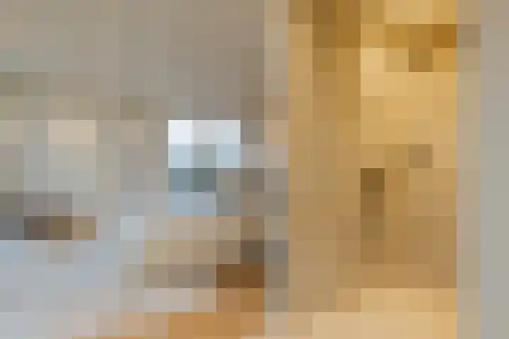 Spadinalaan 699 Amsterdam thumbnail 27