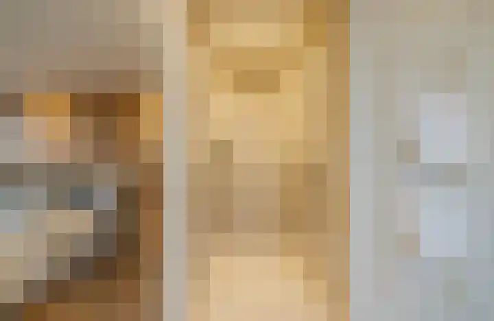 Spadinalaan 699 Amsterdam thumbnail 28