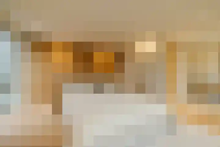 Spadinalaan 699 Amsterdam thumbnail 34