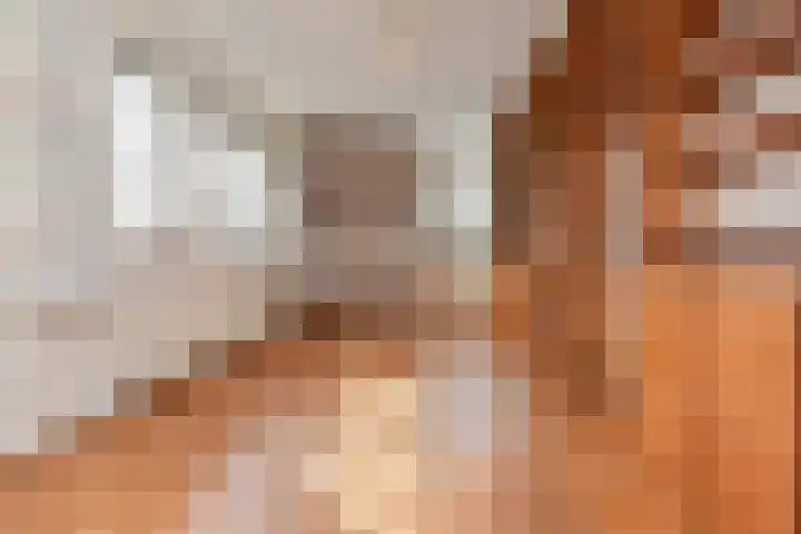 Spaerwoude 8 Pijnacker thumbnail 13