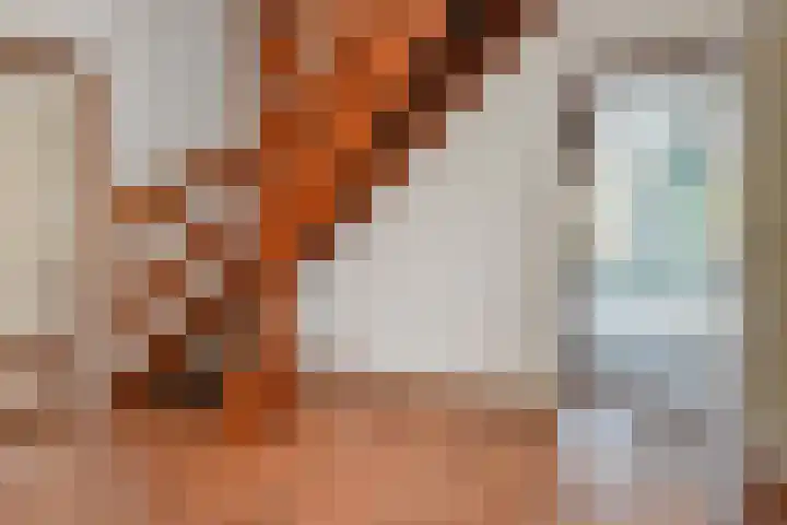 Spaerwoude 8 Pijnacker thumbnail 15