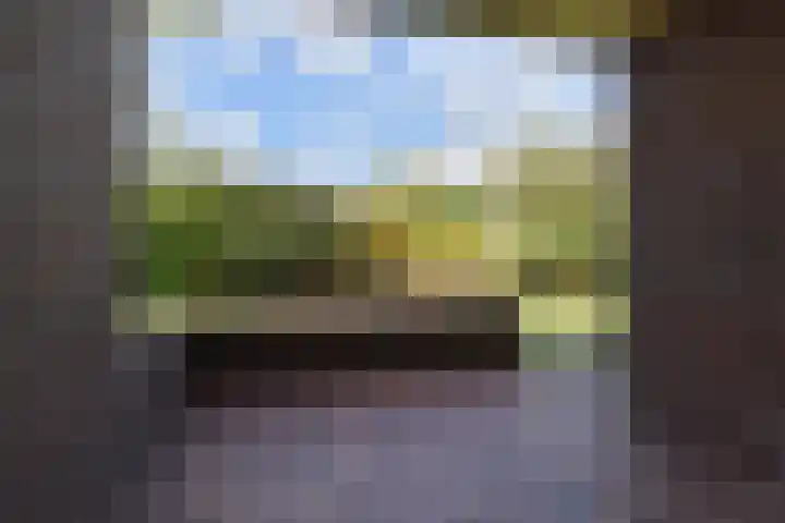 Spaerwoude 8 Pijnacker thumbnail 22