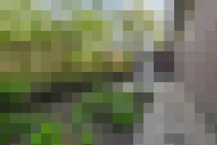 Spaerwoude 8 Pijnacker thumbnail 25