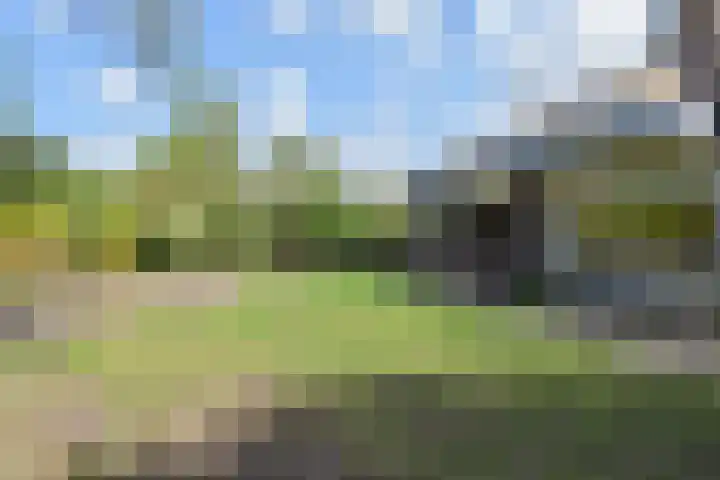 Spaerwoude 8 Pijnacker thumbnail 26