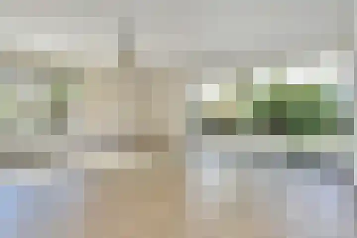 Spaerwoude 8 Pijnacker thumbnail 29