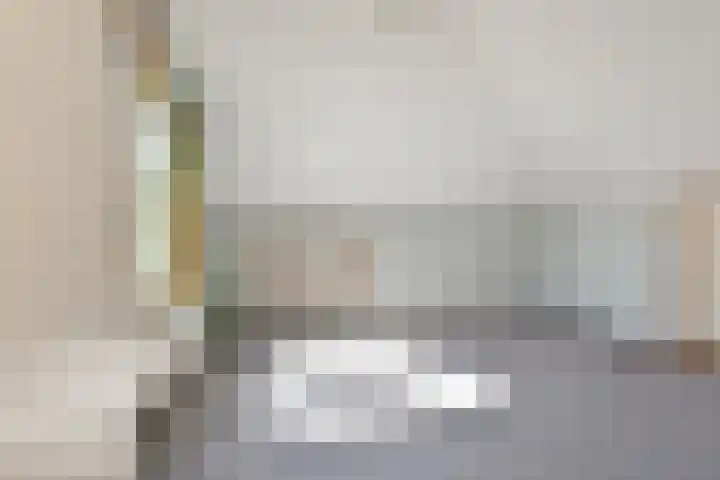 Spaerwoude 8 Pijnacker thumbnail 36