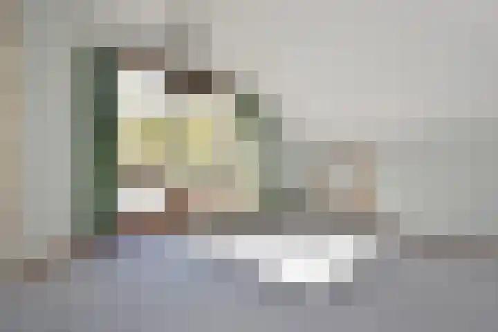 Spaerwoude 8 Pijnacker thumbnail 37