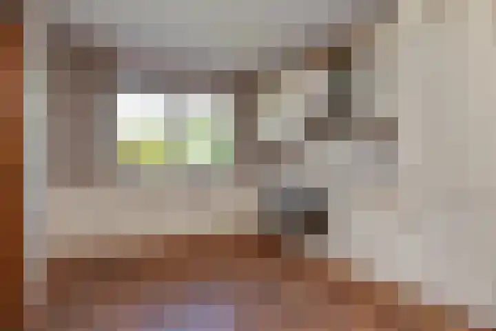 Spaerwoude 8 Pijnacker thumbnail 4