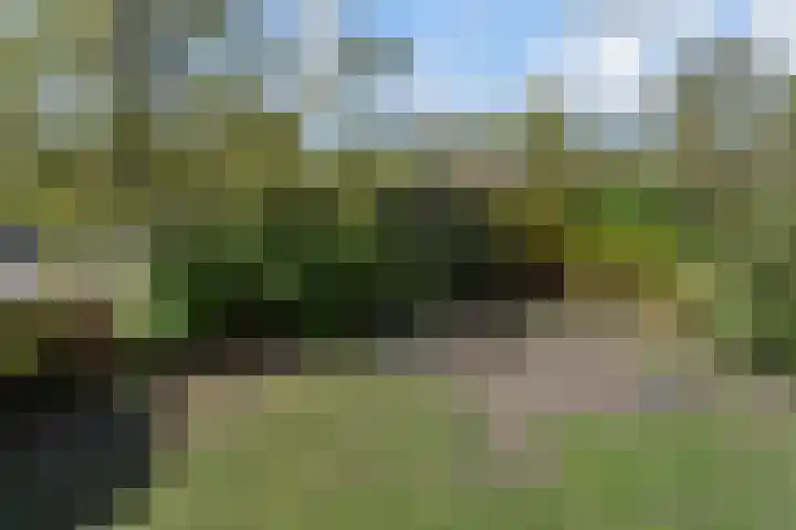Spaerwoude 8 Pijnacker thumbnail 50