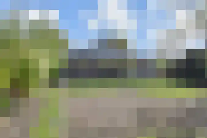 Spaerwoude 8 Pijnacker thumbnail 52