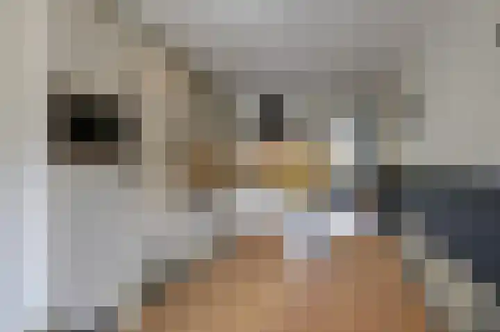 Spalhuisstraat 6 Wehl thumbnail 12