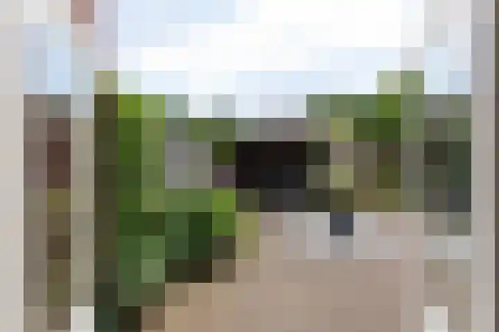 Spalhuisstraat 6 Wehl thumbnail 17