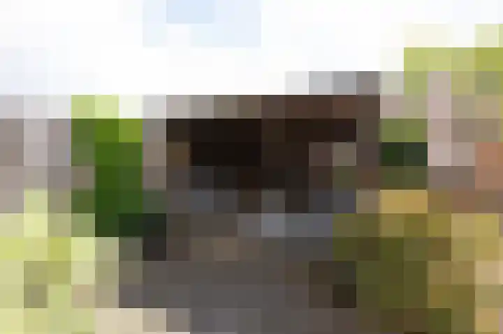 Spalhuisstraat 6 Wehl thumbnail 23