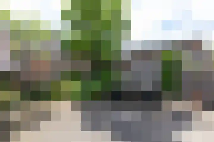 Spalhuisstraat 6 Wehl thumbnail 25