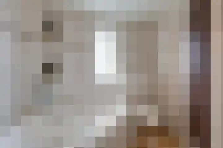 Spalhuisstraat 6 Wehl thumbnail 42