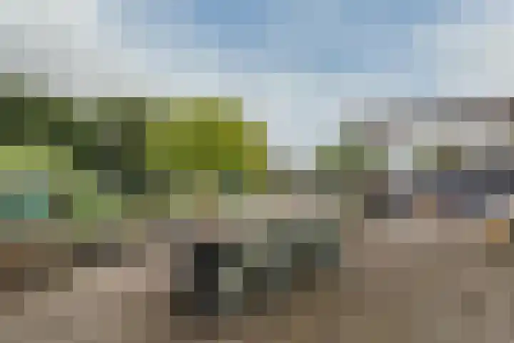 Spanbroekerweg 54 Spanbroek thumbnail 17