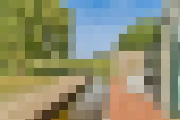 Team foto van Spang & Van Velsen Makelaardij