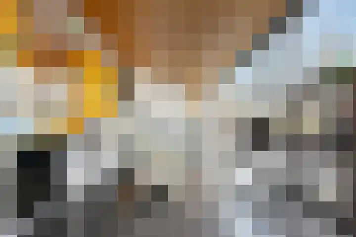 Spangesekade 58 B Rotterdam thumbnail 23