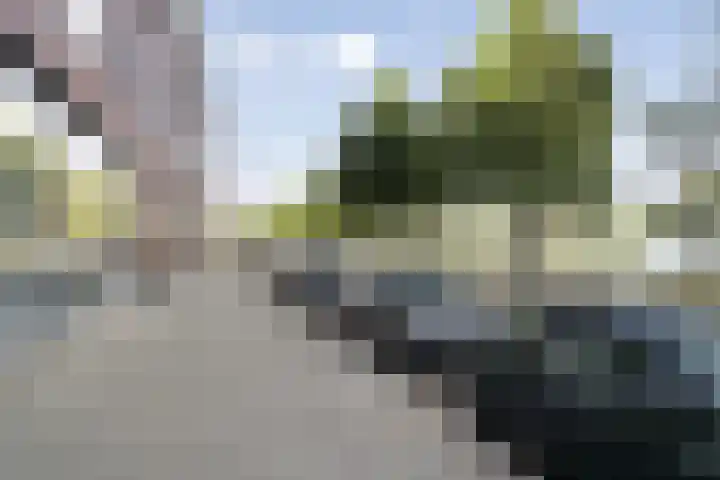 Spangesekade 62 B Rotterdam thumbnail 24