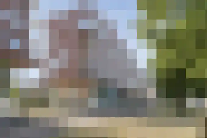 Spangesekade 62 B Rotterdam thumbnail 31