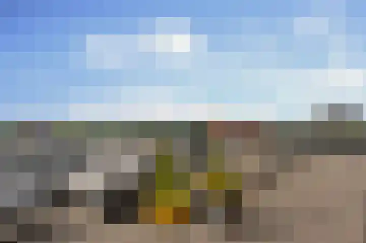 Spangesekade 79 C Rotterdam thumbnail 14