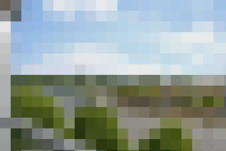 Spangesekade 79 C Rotterdam thumbnail 18