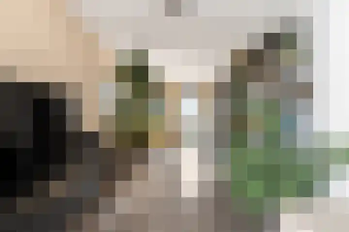 Spangesekade 79 C Rotterdam thumbnail 27