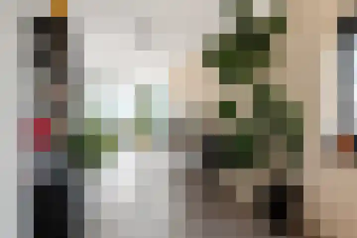 Spangesekade 79 C Rotterdam thumbnail 28