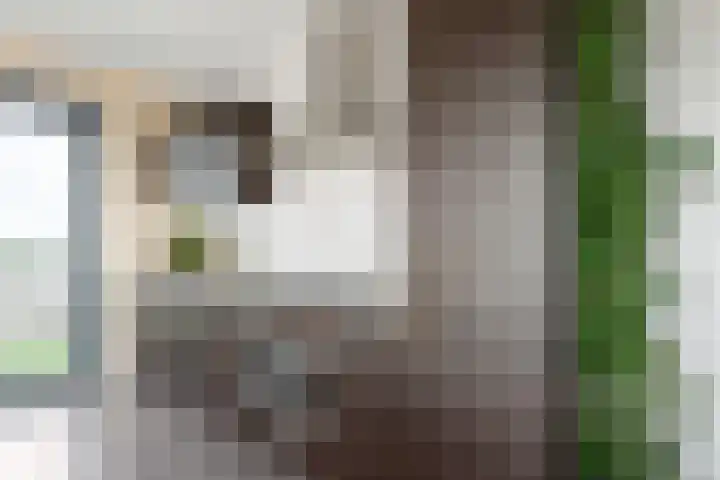 Spangesekade 79 C Rotterdam thumbnail 32