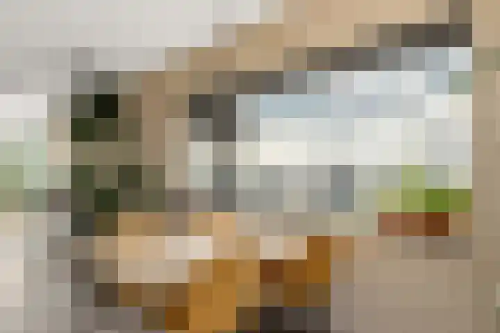 Spangesekade 79 C Rotterdam thumbnail 33