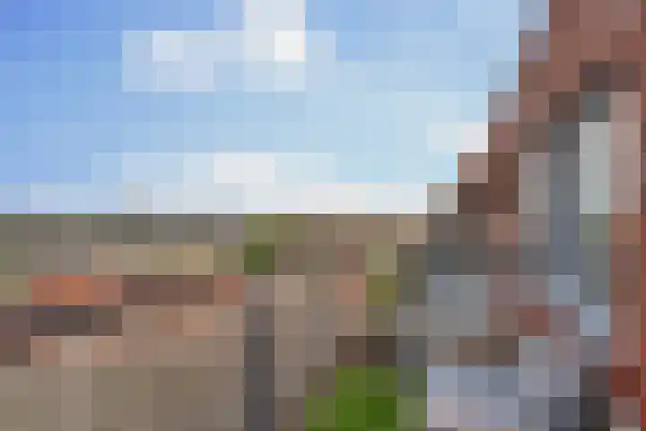 Spangesekade 79 C Rotterdam thumbnail 35