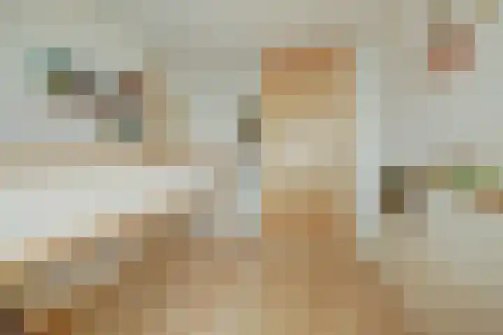 Spangesekade 79 C Rotterdam thumbnail 43