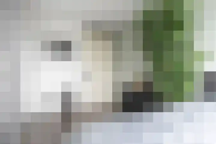 Spangesekade 79 C Rotterdam thumbnail 50